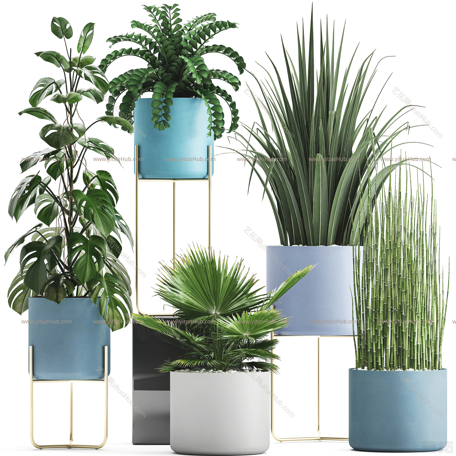 现代植物盆栽 盆景
