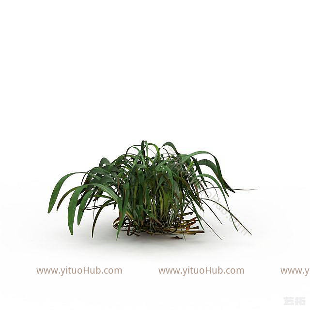 现代绿草模型