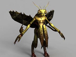 魔兽世界游戏角色模型