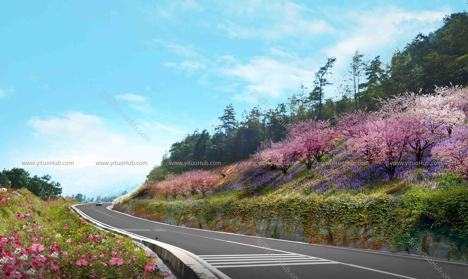 公路道路两侧花镜植物组团免扣