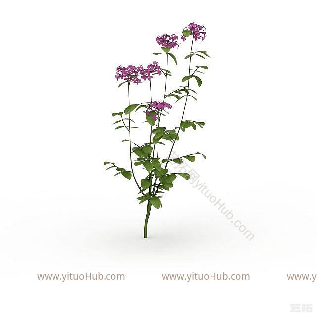 现代紫色花朵模型