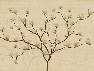 工笔画古风底图背景 玉兰花
