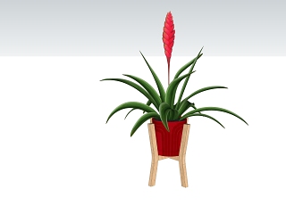 室外绿色植物下载