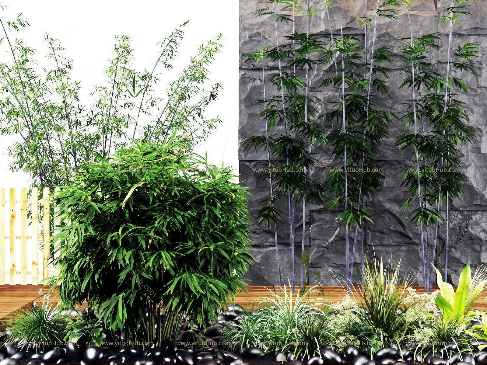 现代竹子 植物 石头组合