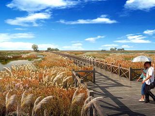 木栈道湿地景观效果图