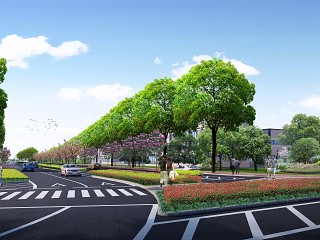 道路交口绿化景观