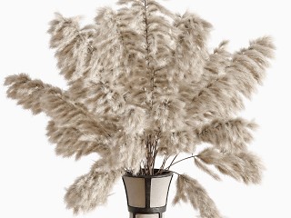 现代芦苇干支插花艺术摆件模型