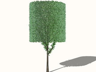 3D灌木