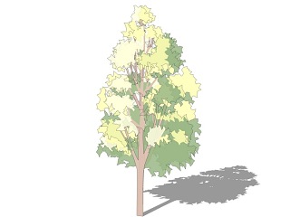 2D水彩风格大树