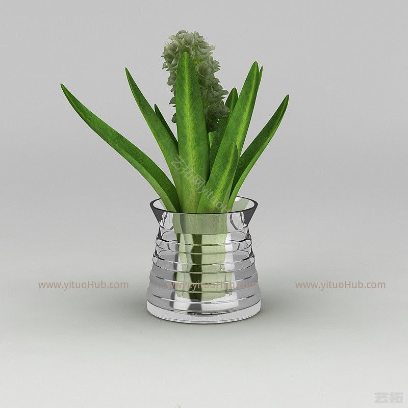 现代花盆绿植风信子模型
