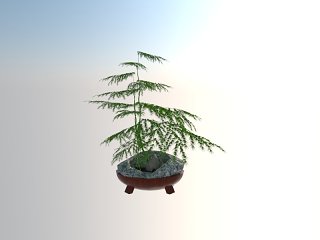 SU3D模型—植物文竹