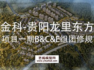 天华·金科贵阳龙里东方项目一期B&amp;C&amp;E组团修建性详细规划