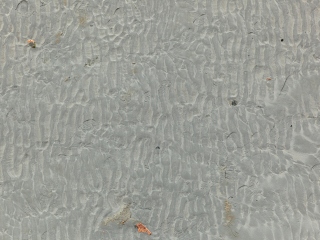 地面 海滩 沙地 砂石纹理贴图