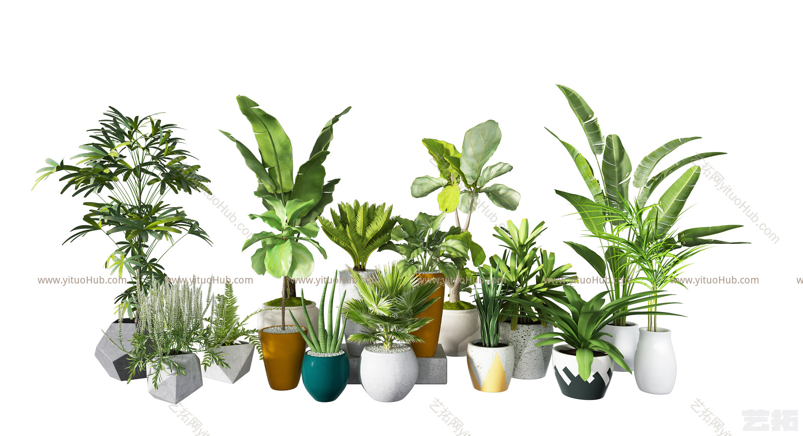 现代绿植盆栽