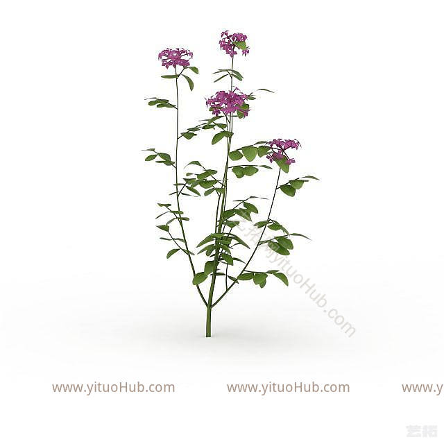 现代紫色花朵模型