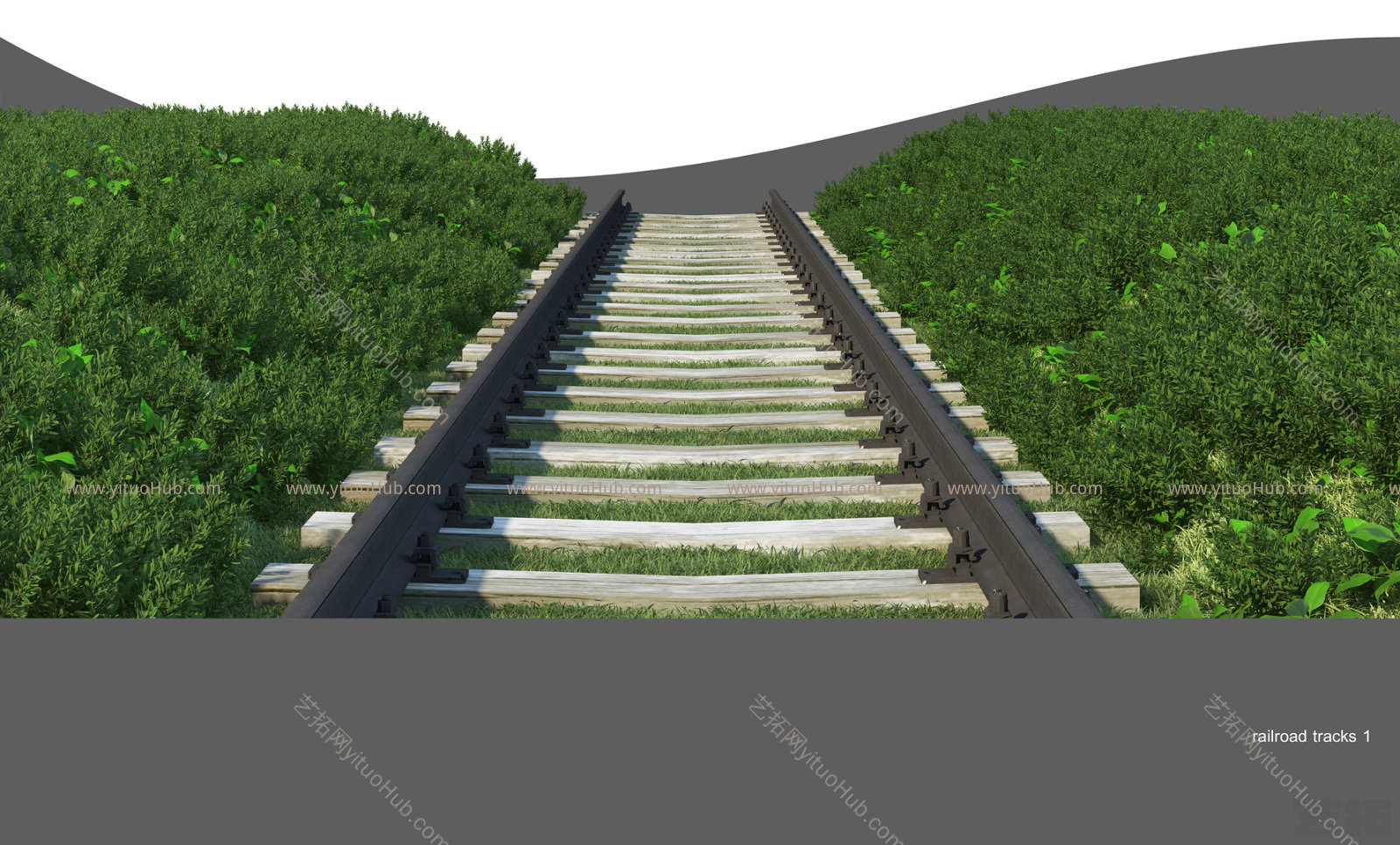 铁路轨道沿路植物风光带