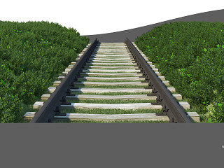 铁路轨道沿路植物风光带