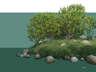 小岛植物造景组合 孤岛景观