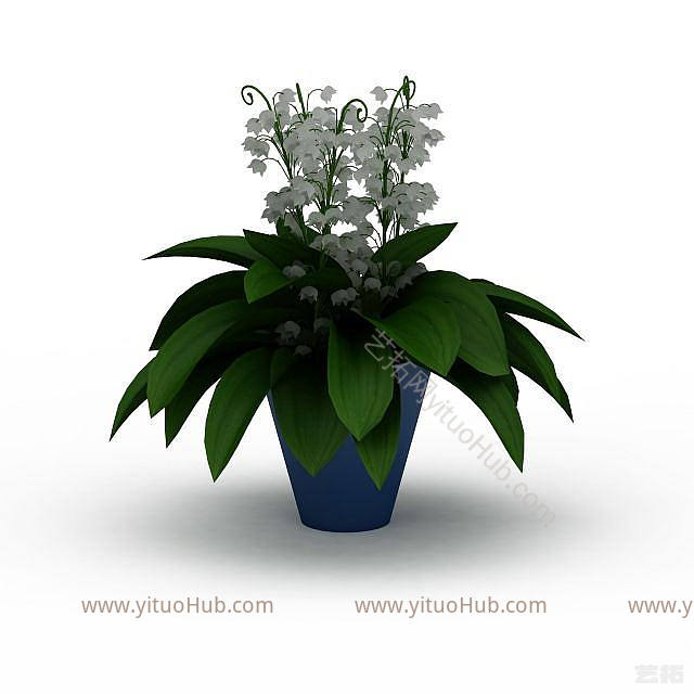 白色室内植物模型