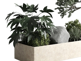 现代绿植盆栽