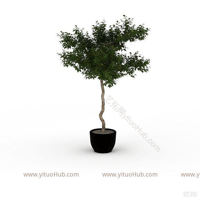 现代盆栽室内植物模型