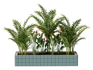 现代植物花坛
