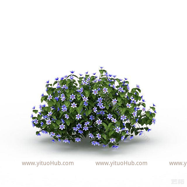 现代植物花草模型