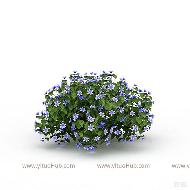 现代植物花草模型