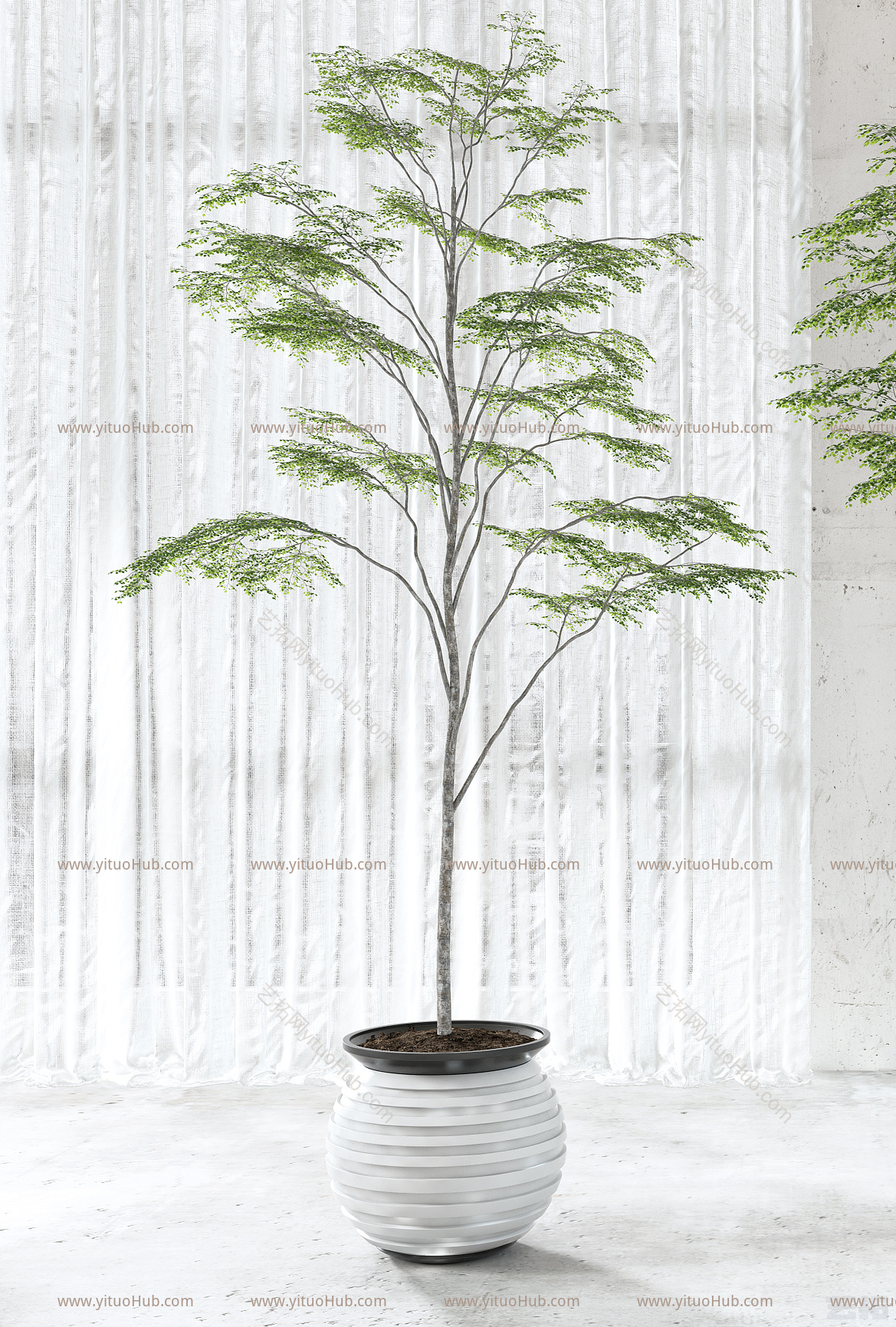 现代绿植盆栽盆景