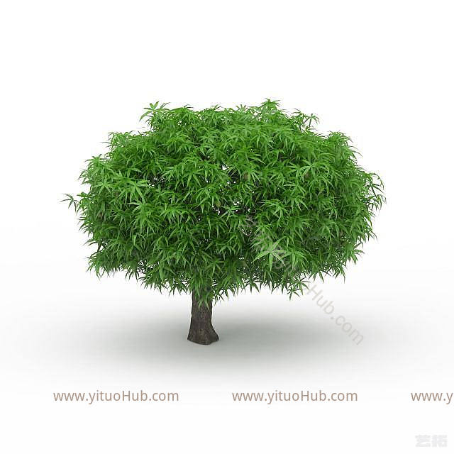 现代小榕树模型