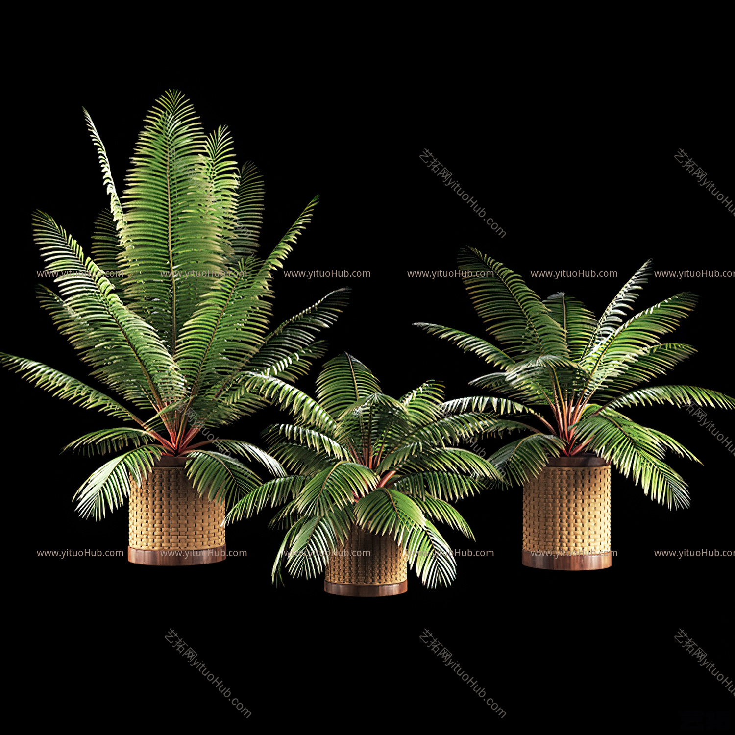 现代植物盆栽摆件