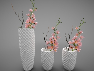 现代风格植物
