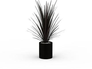 现代植物盆栽模型