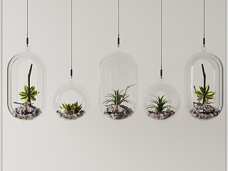 现代植物吊瓶