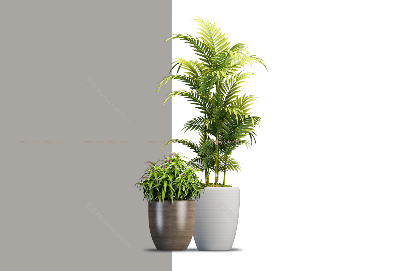 盆栽植物