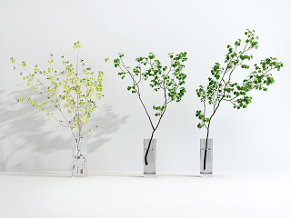 现代玻璃花瓶_花卉_绿植