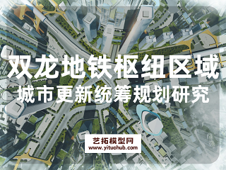 双龙地铁枢纽区域城市更新统筹规划研究