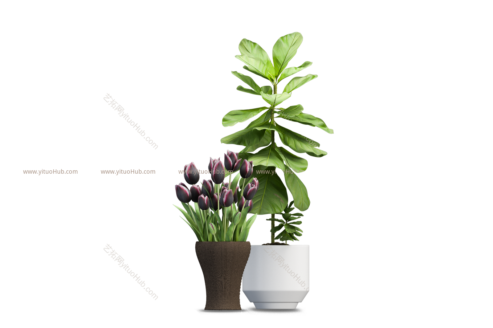盆栽植物