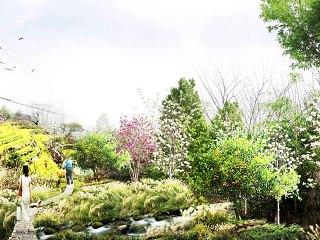 乡村田园梯田植物组团景观效果图