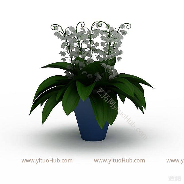 白色室内植物模型