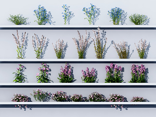 现代花