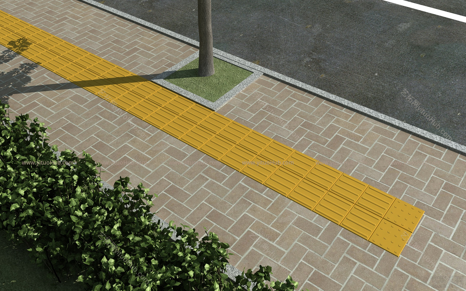 现代道路设施 人行道 盲道 绿篱 银杏树 马路