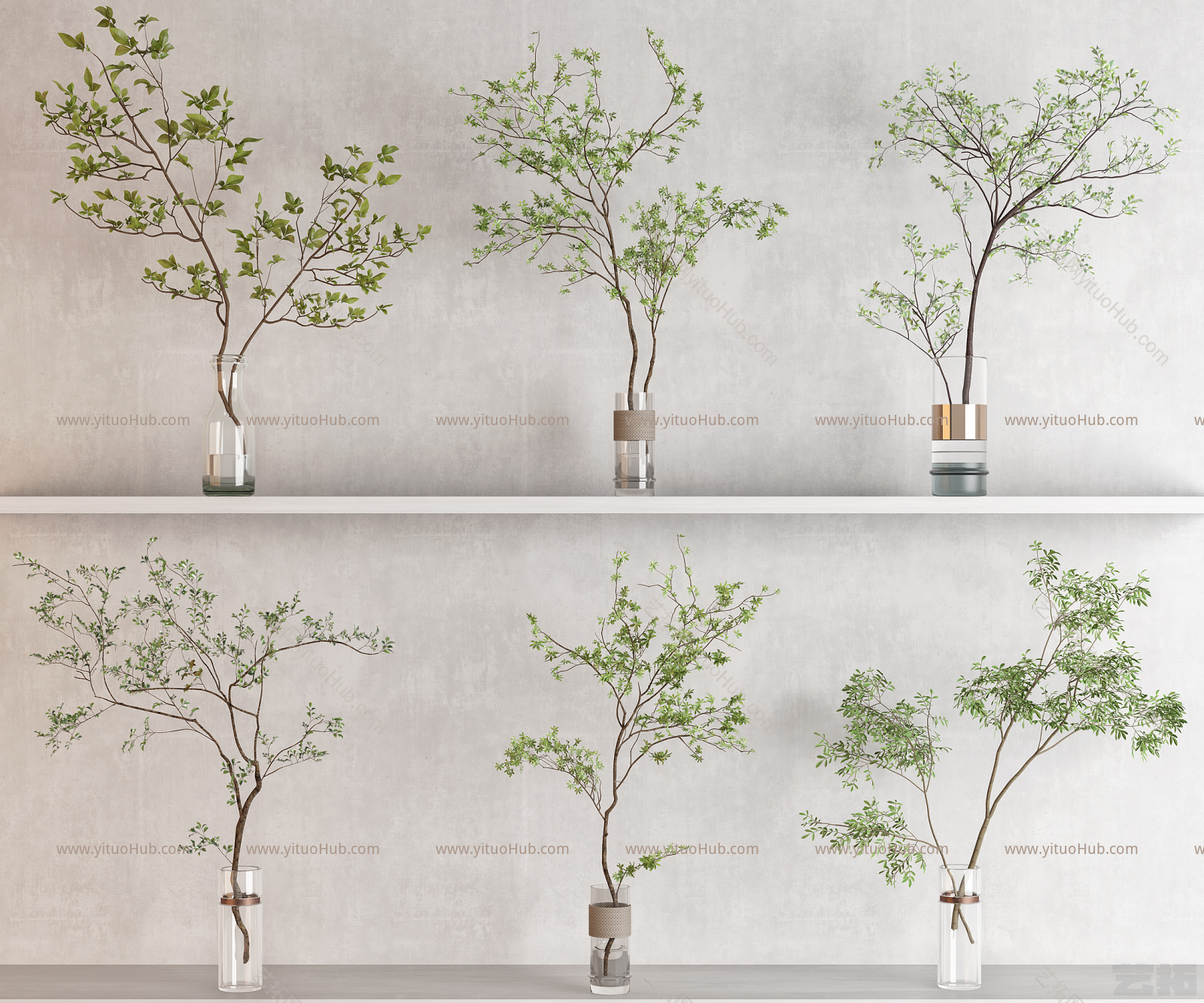 现代水生植物