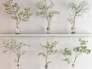 现代水生植物