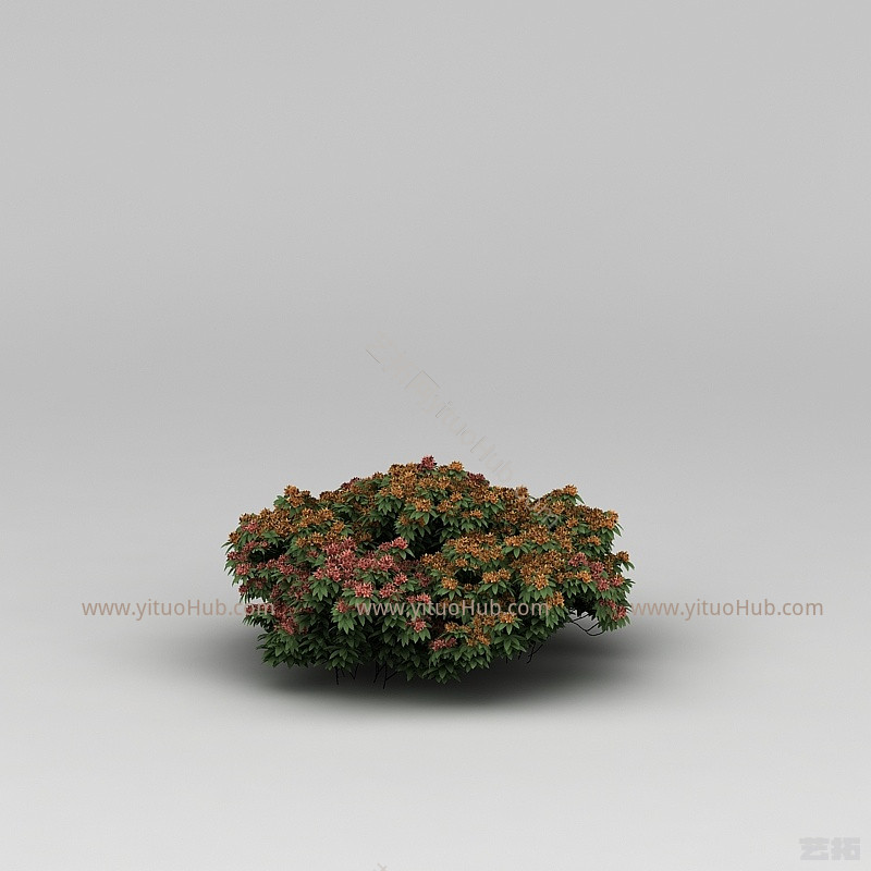 现代植物花草绿植模型