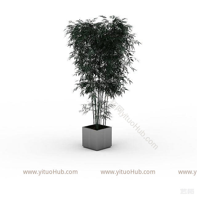 现代绿色室内植物模型