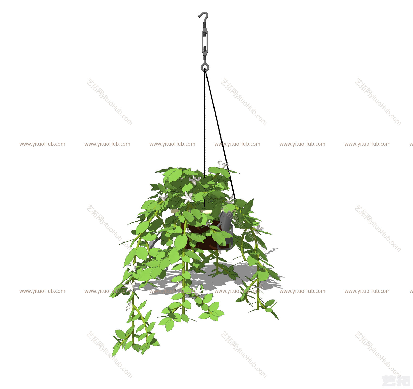 现代吊挂植物 绿植 吊篮盆栽