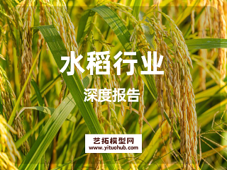 水稻行业深度报告