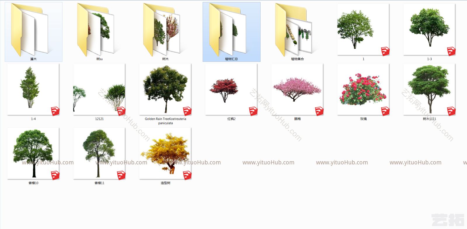 植物 贴图精品 集合香朴红枫鸡爪槭 银杏桂樱桃造型景观树