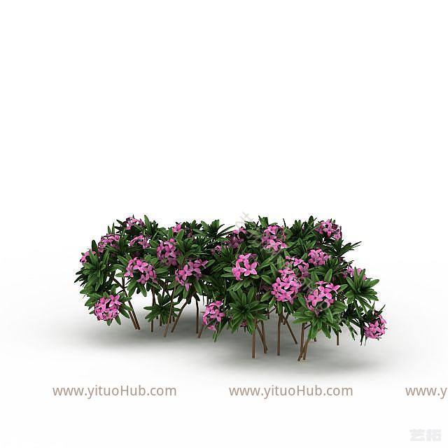 现代户外花草模型